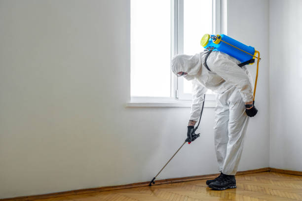 Best Pest Removal Services  in Yorklyn, PA
