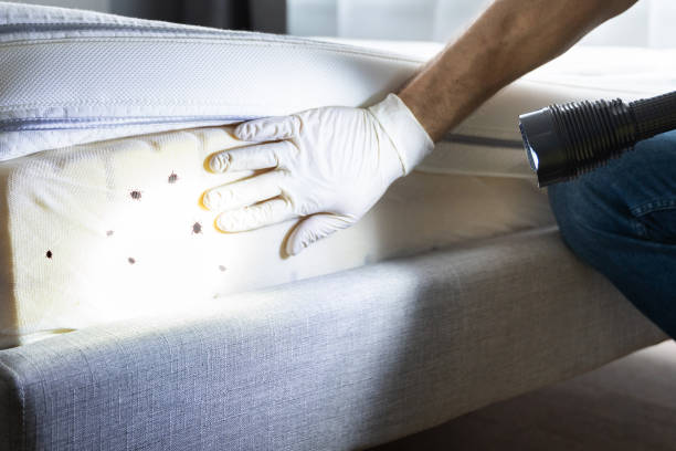 Trusted Yorklyn, PA Pest Control Experts